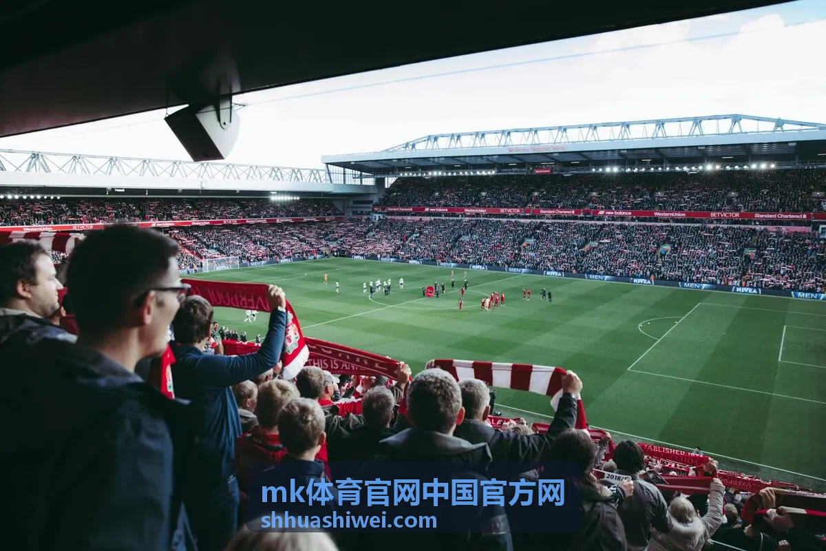 mk体育官网中国官方网服务通道说明配图