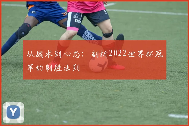 从战术到心态：剖析2022世界杯冠军的制胜法则