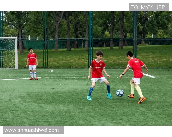 足球巨星的个人魅力如何点燃球迷激情并推动足球文化影响力扩散