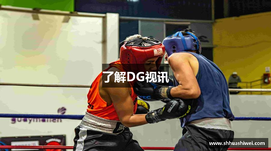 了解DG视讯